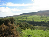 Student Exchange Ireland